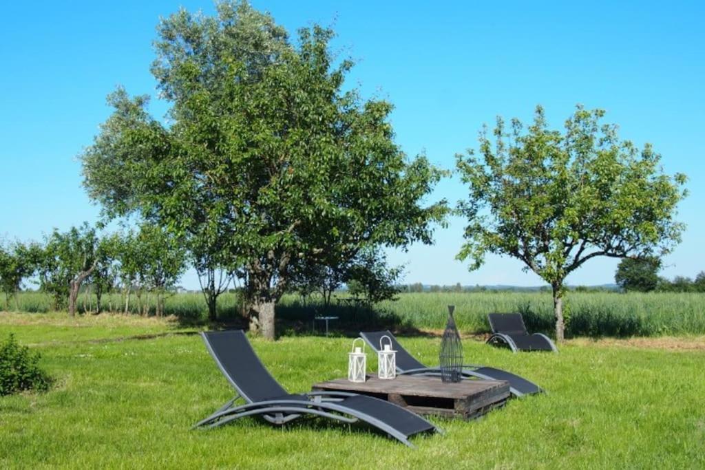 La Case à Jane, gite familial en pays tarnais Coufouleux Exterior foto
