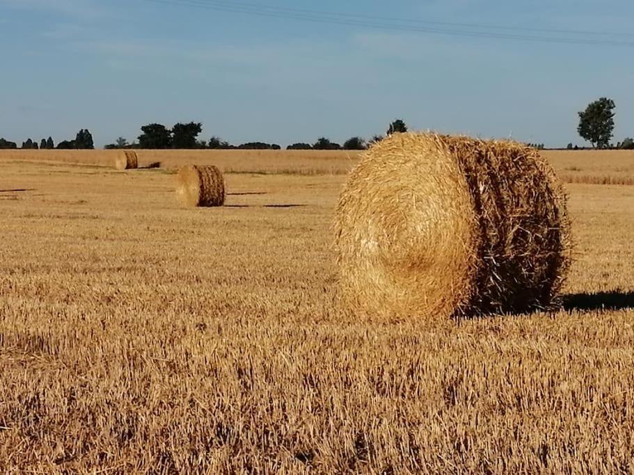 La Case à Jane, gite familial en pays tarnais Coufouleux Exterior foto